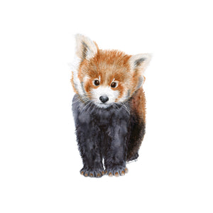 Baby Red Panda Nursery Art