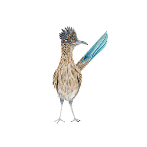 Roadrunner Nursery Print