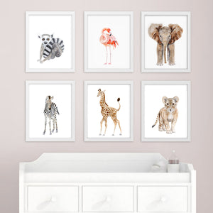Safari Baby Animal Print Set