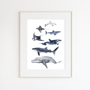 Sea Life Print