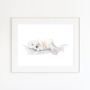 Seal Pup Watercolor Print