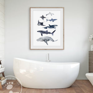 Ocean Animal Art Print