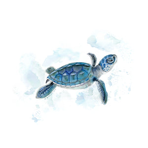 Sea Turtle Nursery Decor