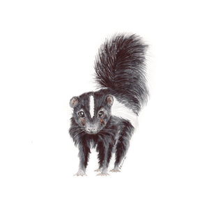 Baby Skunk Nursery Decor