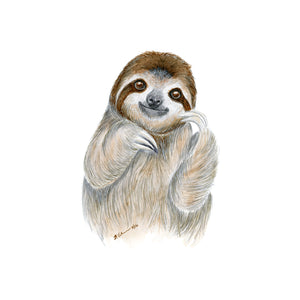 Baby Sloth Watercolor Art