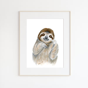 Baby Sloth Portrait