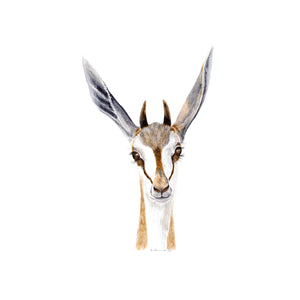 African Antelope Baby Animal Print