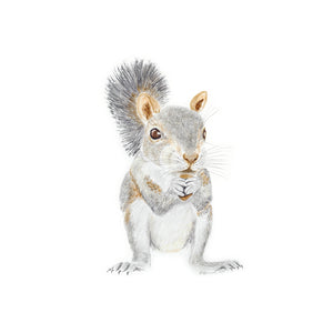 Squirrel Nursery Print