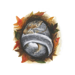 Sleeping Baby Squirrel Decor