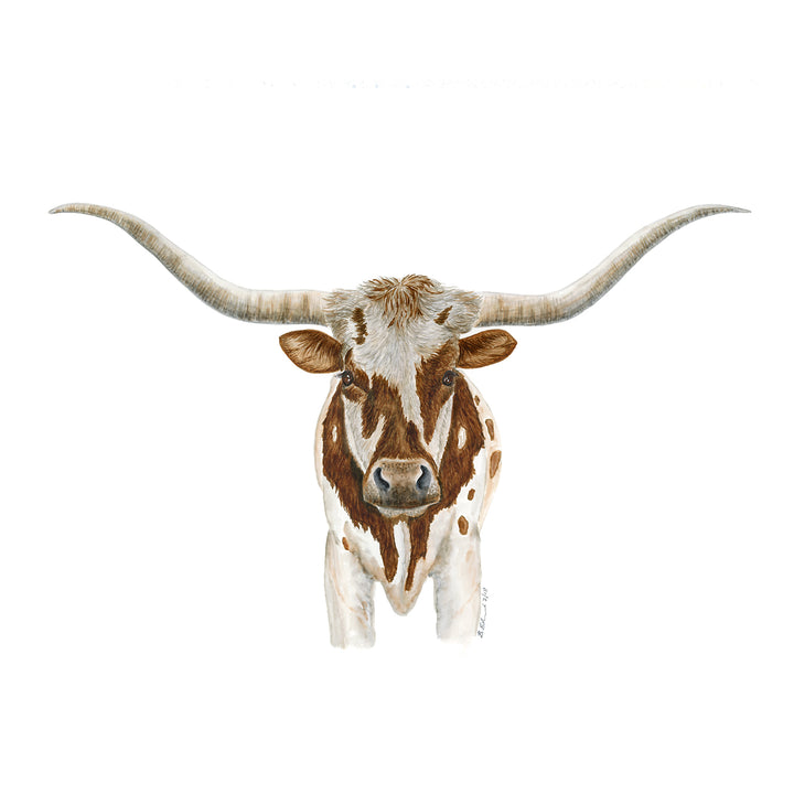 Longhorn Home Decor