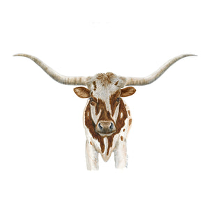 Longhorn Home Decor