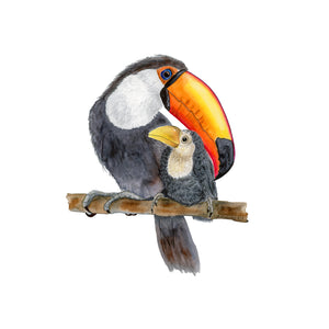 Dad and Baby Toucan Wall Art