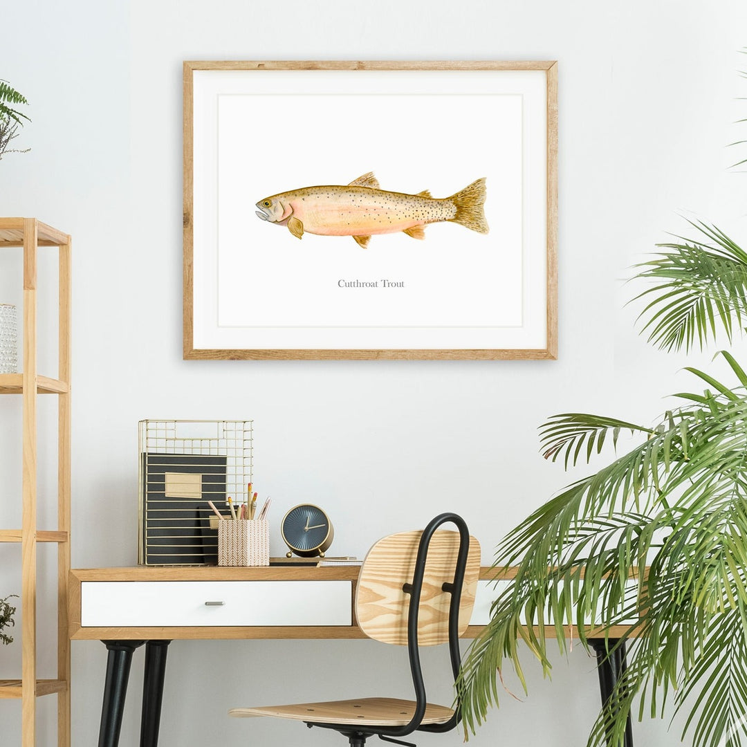 Cutthroat Trout Mount Print