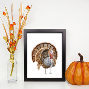 Turkey Thanksgiving Decor