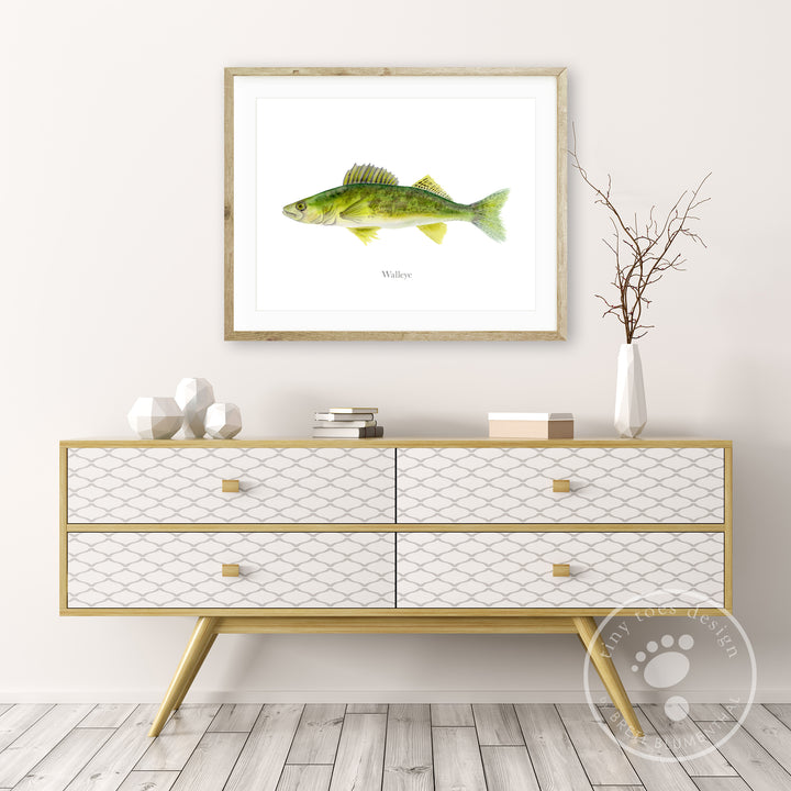 Freshwater Fish Decor