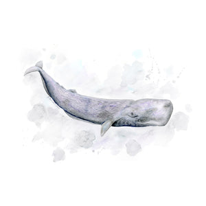 Sperm Whale Nautical Animal Print