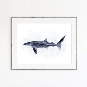 Whale Shark Watercolor Print