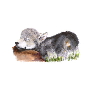 Sleeping Baby Wolf Watercolor