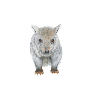 Baby Wombat Nursery Art
