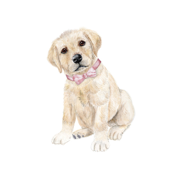 Golden Retriever with Pink Bowtie Baby Art