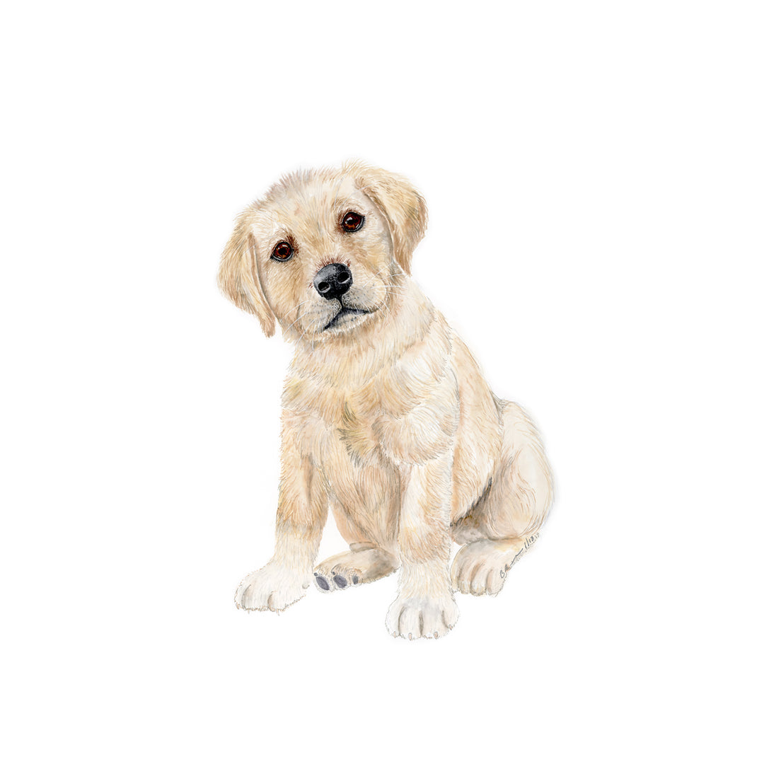 Yellow Lab Watercolor Art