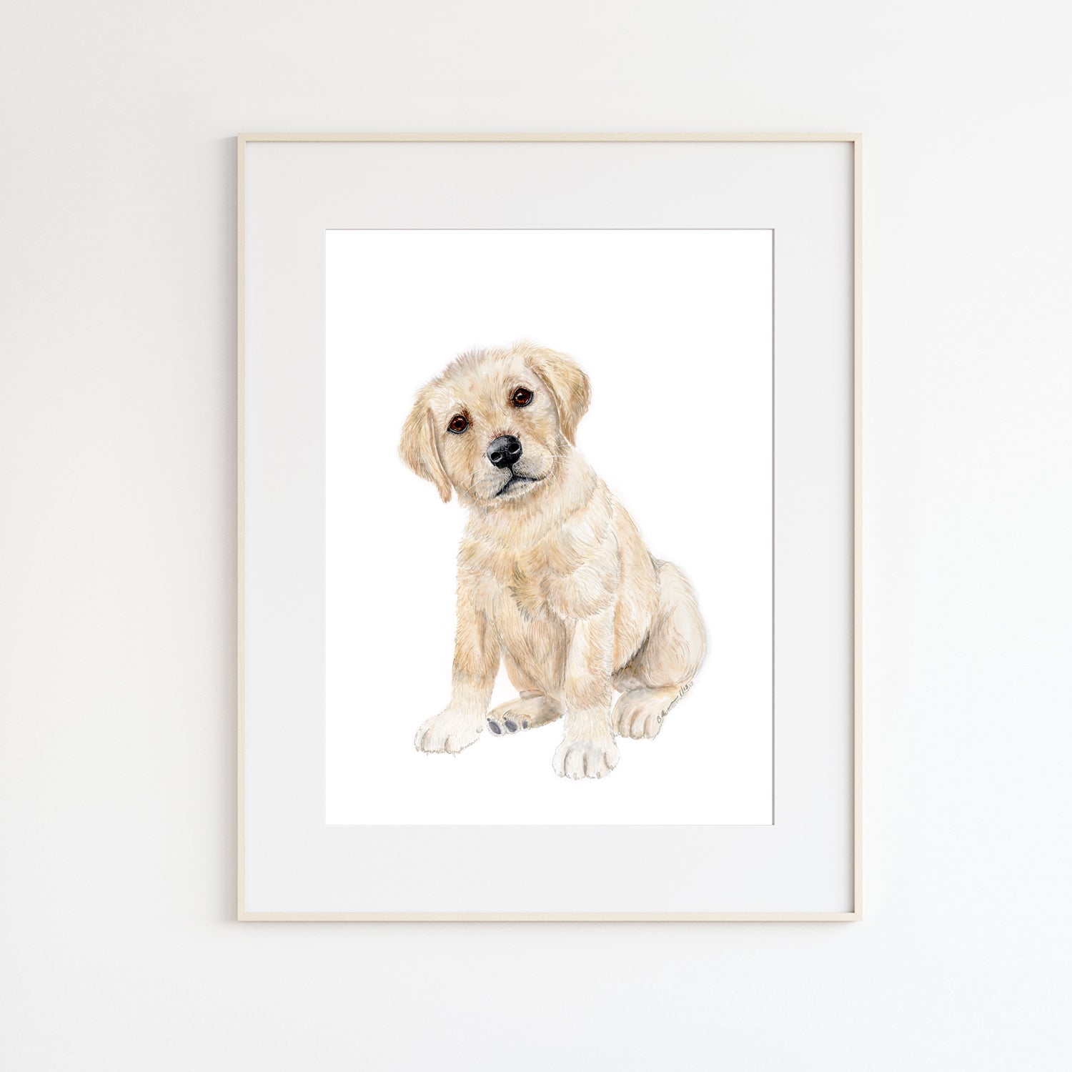 Yellow sales labrador puppy