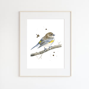 Yellow-rumped Warbler Watercolor