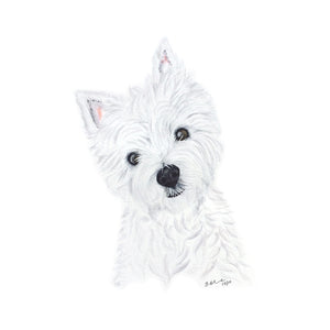 Yorkshire Terrier Portrait