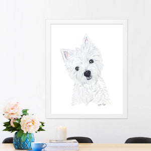 Yorkshire Terrier portrait in frame