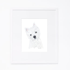 Yorkshire Terrier Portrait with white mat