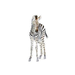 Baby Zebra Nursery Art